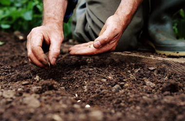 Seeds For A Successful Hospital Medicine (HM) Service for the Small Community Hospital