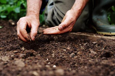 Seeds For A Successful Hospital Medicine (HM) Service for the Small Community Hospital